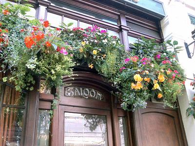 Pictures of flowers: A, H = Geraniums, B = Philodendron, C = Sweet Pea, D, G = Lobelia, E = Begonia, F = English Ivy