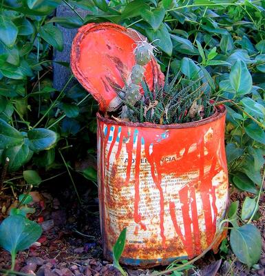 Recycled Container Gardening Ideas: an empty paint can planted up!