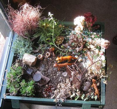 Container Fairy Garden ideas for all the family to enjoy together!
