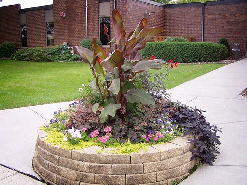 A raised flower bed created from stone