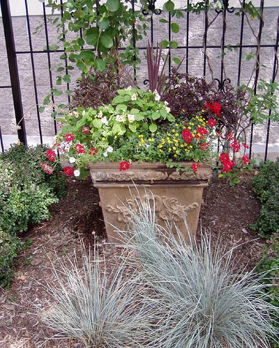 Container Hanging Basket with Osteospermum, Stock, Pansy and Pussy willow