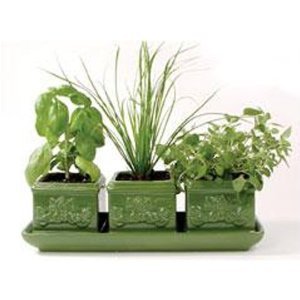 Toysmith Italian Herb Trio Ceramic Indoor Herb Garden