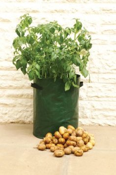 Bosmere P575 Potato Deck-Patio Grow Planter Bag is rated 4.3 stars on Amazon