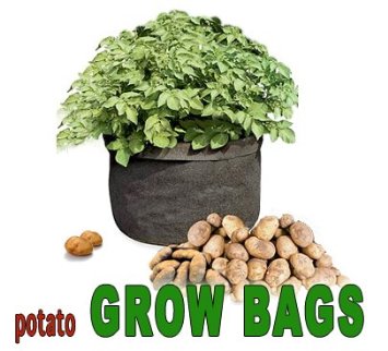 Potato Grow Bags is rated 4.2 stars on Amazon