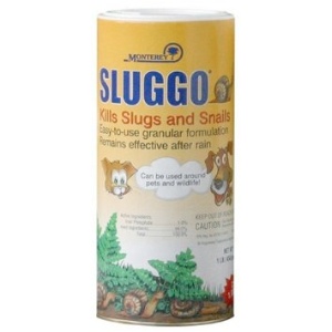 Sluggo Organic Slug and Snail Control is rated 4.5 stars on Amazon