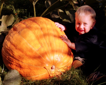 How to Grow Pumpkins in Containers