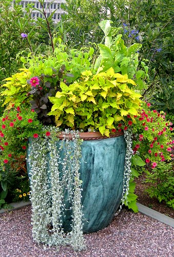 Superb container garden design, overflowing with colors and textures