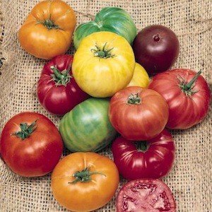 Organic Heirloom Beefsteak Tomato Seeds is rated 3.6 stars on Amazon