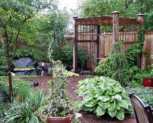 Containers arranged in harmony throughout a garden. Click for full description and care advice