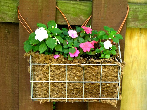 Recycled Container Garden