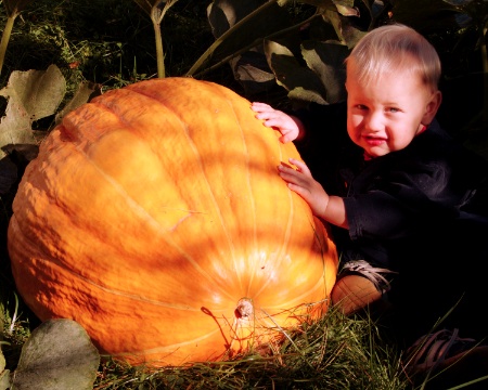 How to grow pumpkins really HUGE! Photo and story by Katinka Rubin Michaud