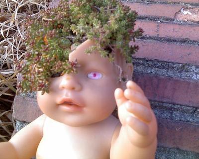 Recycled Container Gardening Ideas: a broken doll with plants for brains!