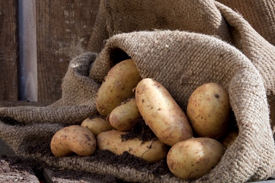 How to Grow Potatoes: potato storage