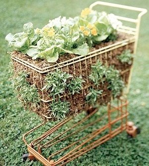 Recycled container gardening ideas!